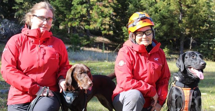 Behind the scenes look at helicopter dog training near Kamloops