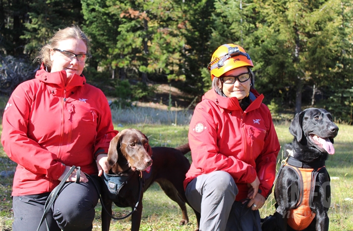 Behind the scenes look at helicopter dog training near Kamloops